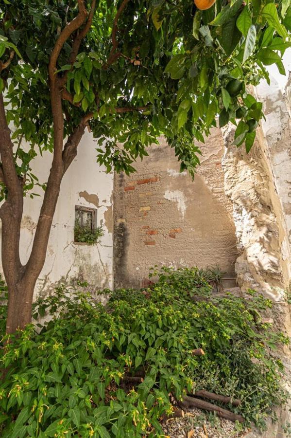 La Casa De Los Arcos - Casco Historico - Parking Opcional 赫雷斯 外观 照片